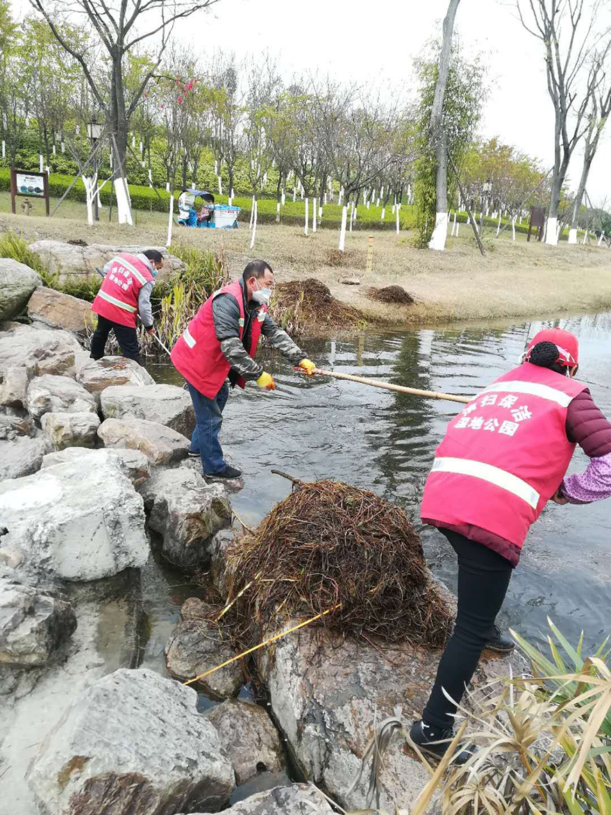 小枧生態公園開展大掃除活動1